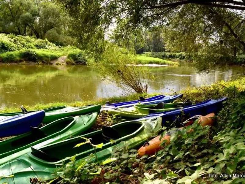 Spływ kajakowy - Graniczne Meandry Odry